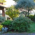 Il Sole