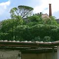 Il Terrazzino