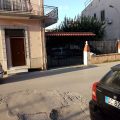 Il Tulipano