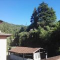Il Vecchio Mulino