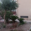 Il giardino del casciar