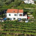 In Vino Veritas