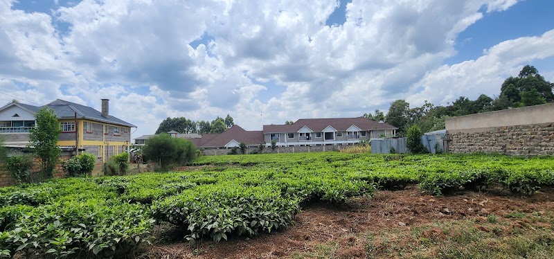 Keriwest Hotel in Kericho, Kenya
