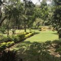Kip’s Eco Resort