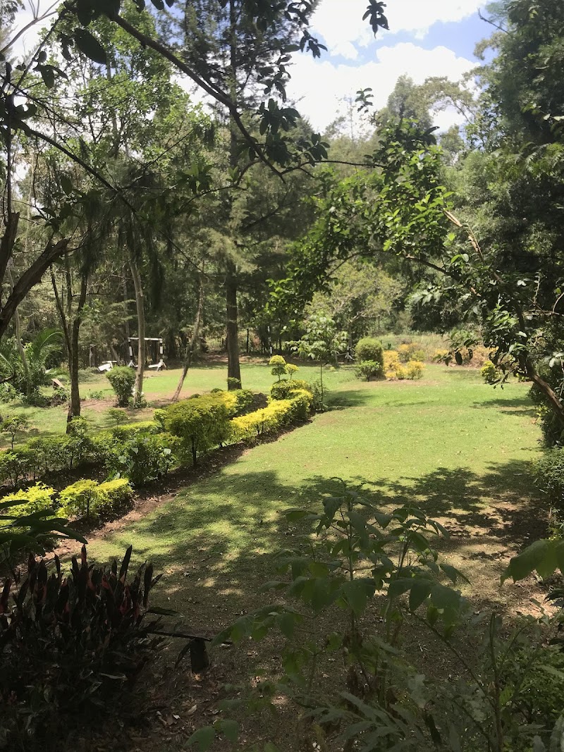 Kip's Eco Resort in Nandi Hills, Kenya