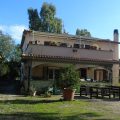 L’Albero della Vita