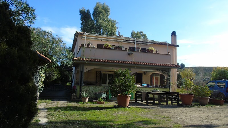 L’Albero della Vita in Tarquinia, Italy