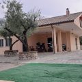L’Ulivo