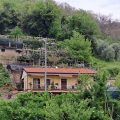 La Cantina del Casale