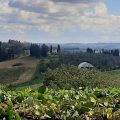 La Casina di Parrana