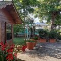 La Corte