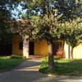 La Vigna di Federico