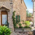 La Viola di Assisi