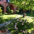 Le Ginestre