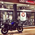 Liso