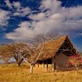 Lualenyi Camp