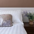 MAMA Guest House