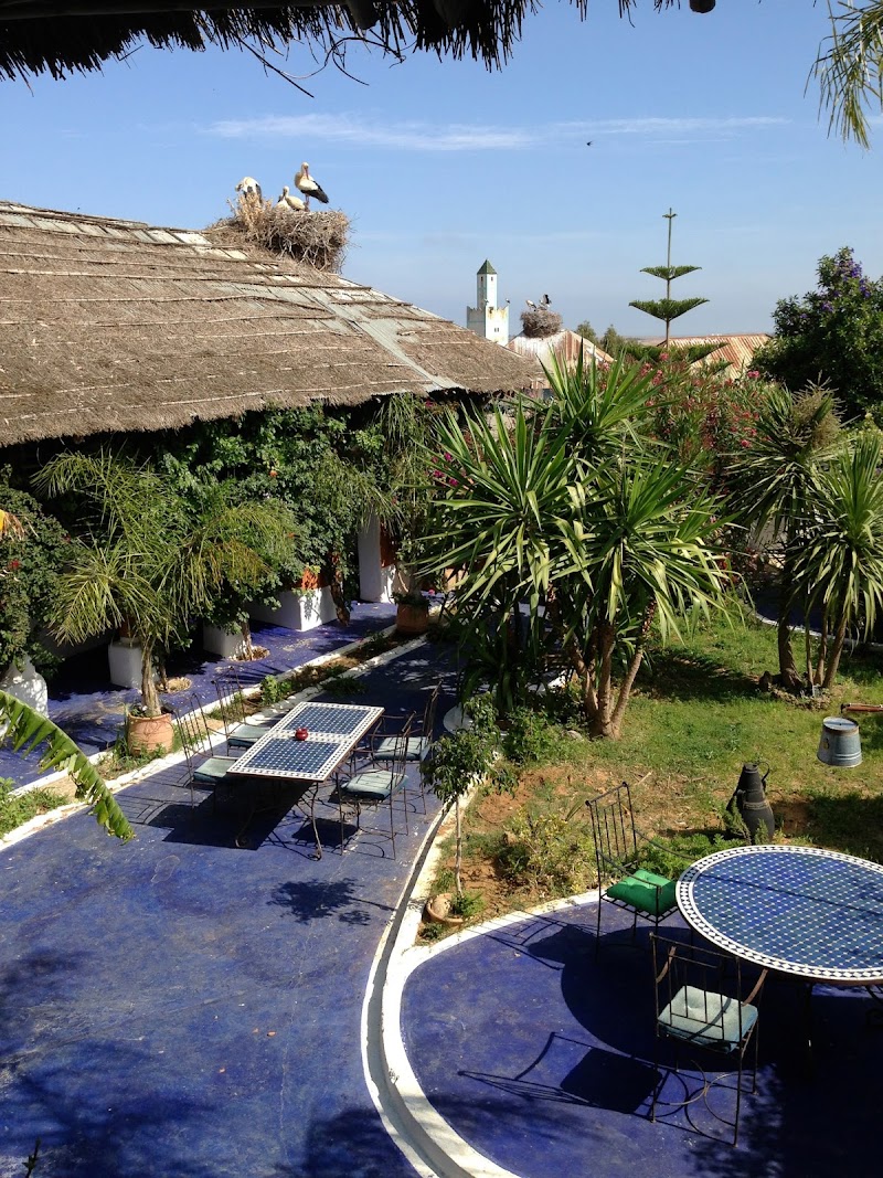 Maison d’hotes Berbari in Asilah, Morocco