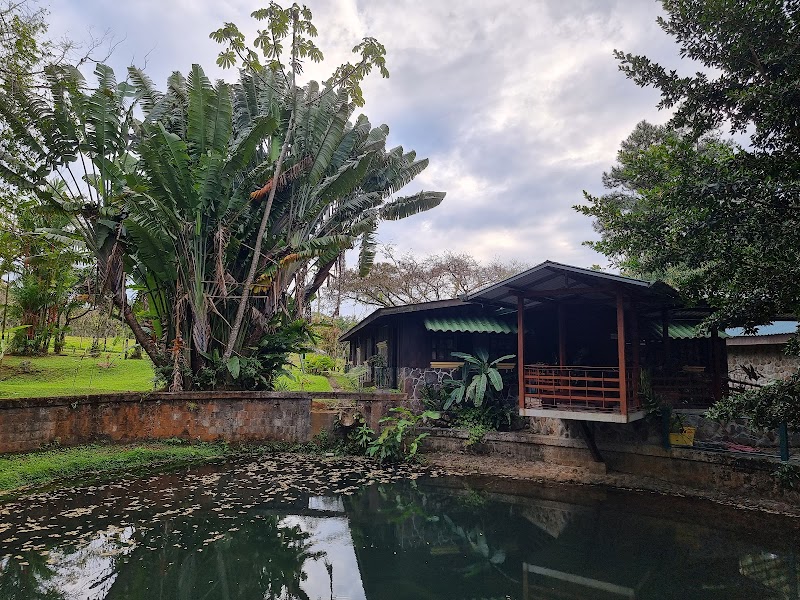 Malekus Mountain Lodge in Upala, Costa Rica