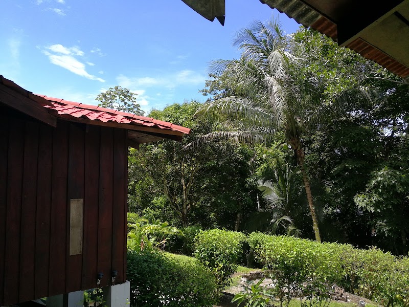 Manuel Antonio Hostel Resort in Quepos, Costa Rica