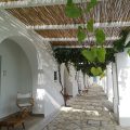 Masseria Malvindi