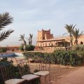 Oasis Palm Hotel
