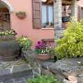 Olmo Antico