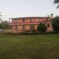 Orange Moon Hotel