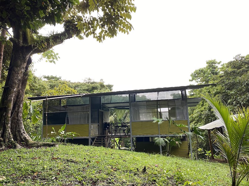Osa Jungle Hostel in Jimenez, Costa Rica