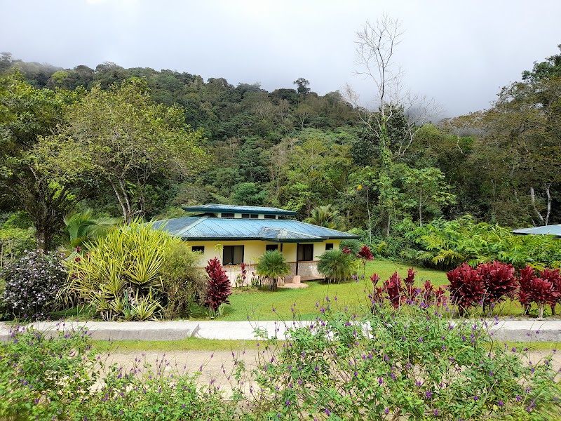 Osa Mountain Village Eco Resort in Ciudad Cortes, Costa Rica