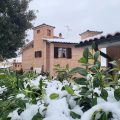 Palazzetto del Pittore
