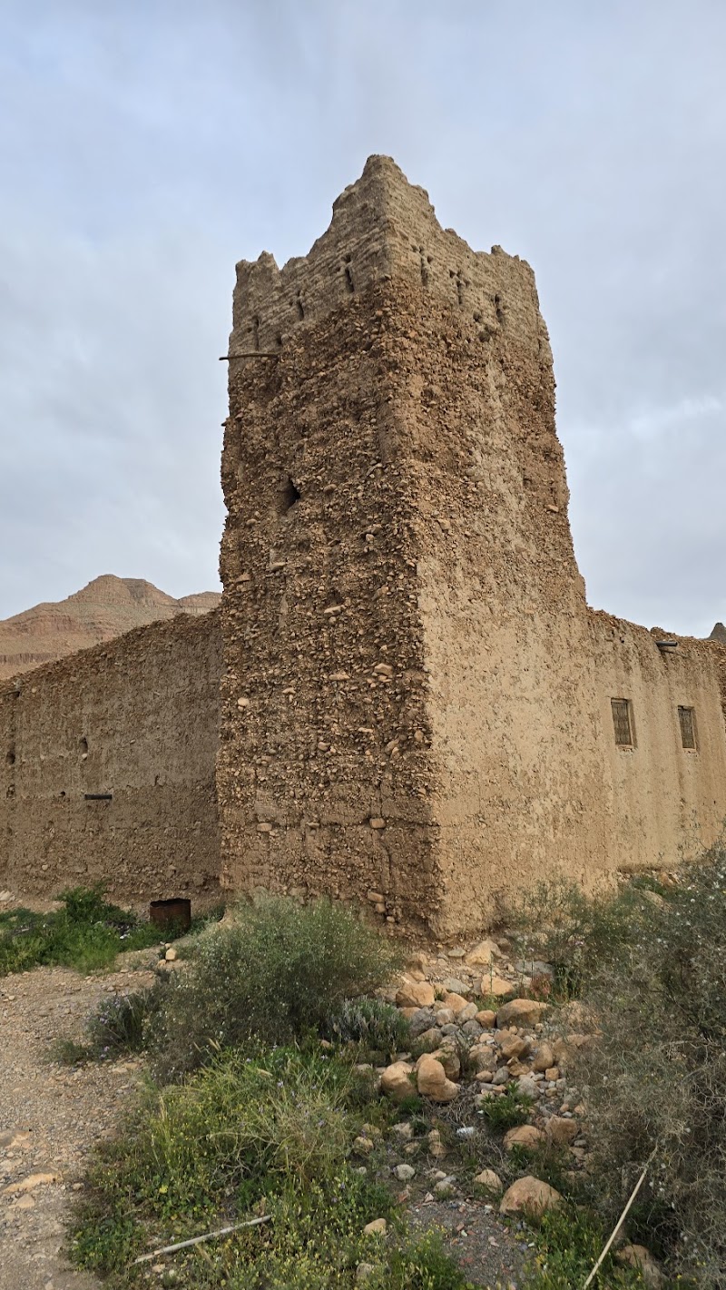 Palma Ziz in Errachidia, Morocco