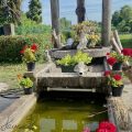 Pegaso (Agriturismo)