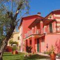 Podere Morucciola Viti e Ulivi