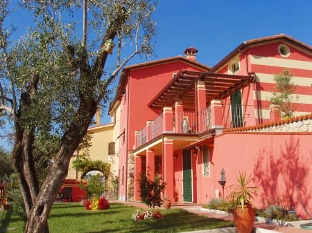 Podere Morucciola Viti e Ulivi in Arcola, Italy