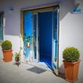 Posidonia