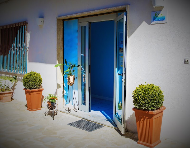 Posidonia in Castellabate, Italy