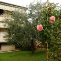 Profumo d’Estate