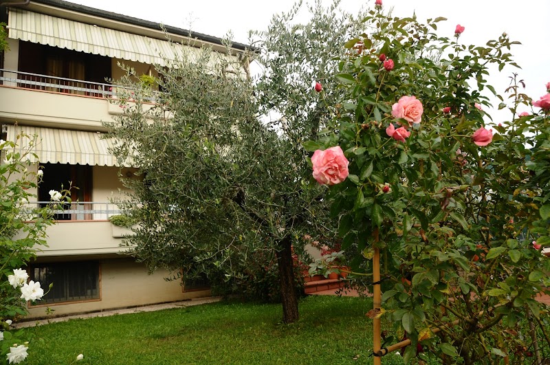 Profumo d’Estate in Agliana, Italy