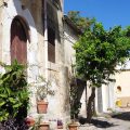 Profumo di Zagara