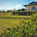 Radices Guest House