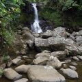 Rara Avis Rainforest Lodge & Reserve