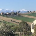 Recanati Family