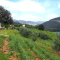 Relais De Tahla