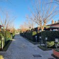Residence Borgo Verde