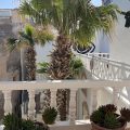 Riad Baladin