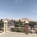 Riad Boujemaa
