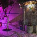 Riad Lala Fatima