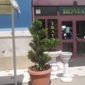 Ristorante Albergo Roma