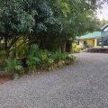 Roddy’s Green Lounge